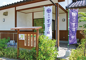 山野菜会席6