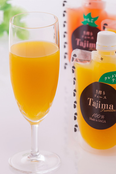 冷凍ジュース さがんものたち さが農村ビジネスサポートセンター 冷凍ジュース さがんものたち さが農村ビジネスサポートセンター