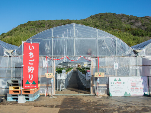 観光農園 花祭いちごの谷